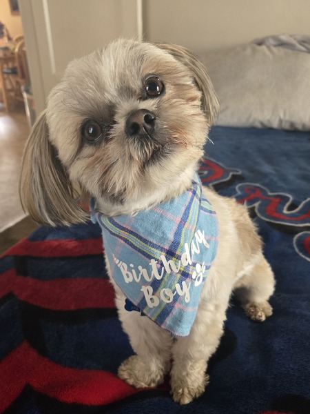 Ozzie