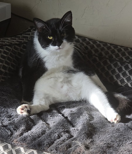 Odin