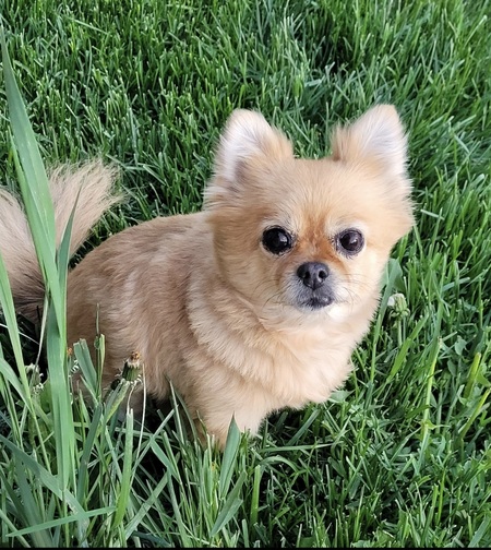 Chloe