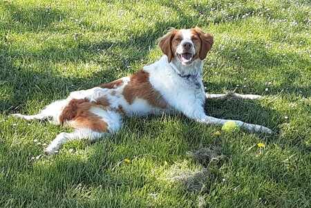 Penny