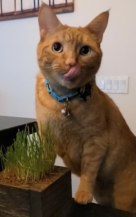 George