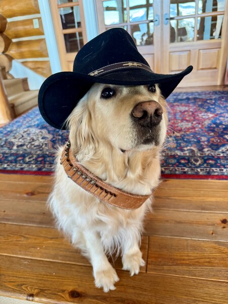 Winston