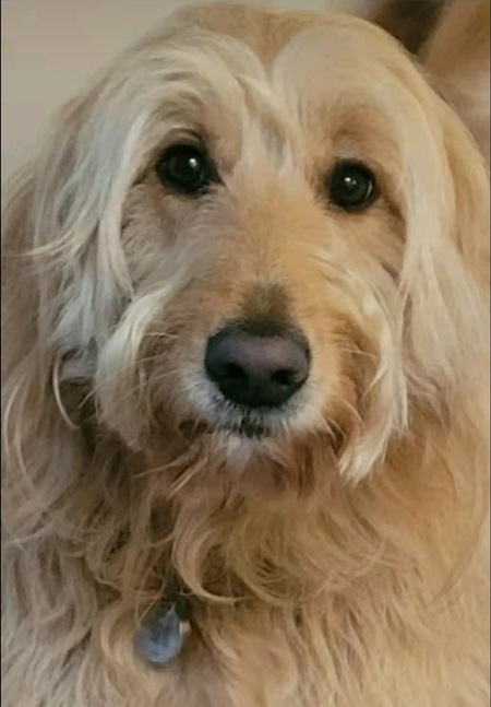 Lord Cosmo