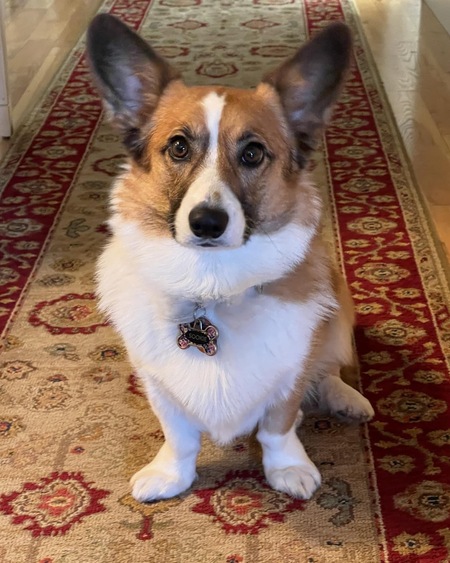 Sookie