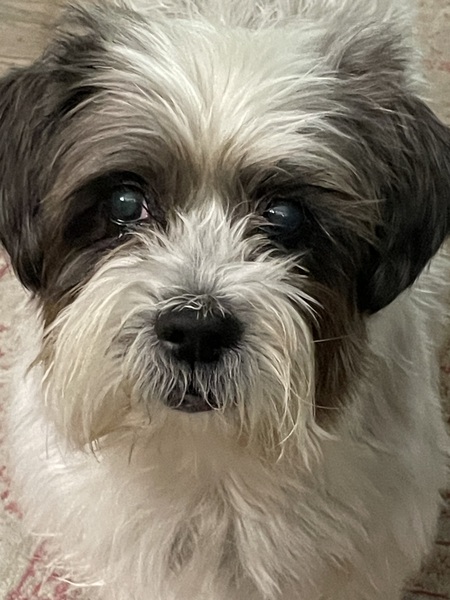 Tucker