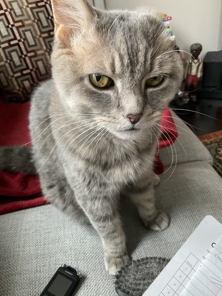 Max