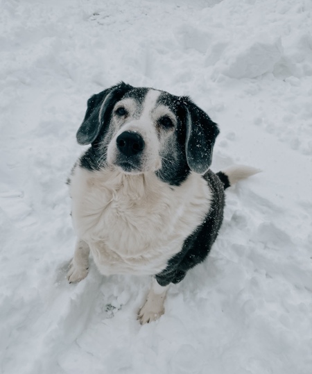 Tucker 