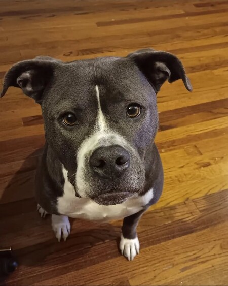 Taco