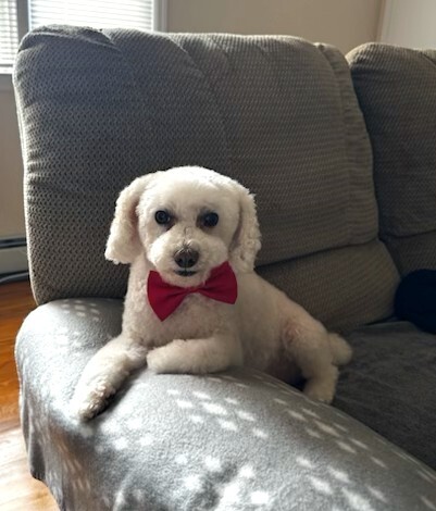Lulu