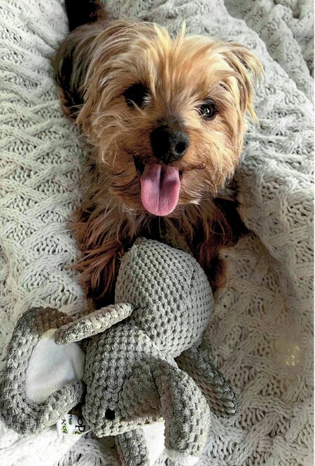 Tucker