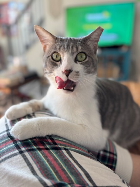 Kevin