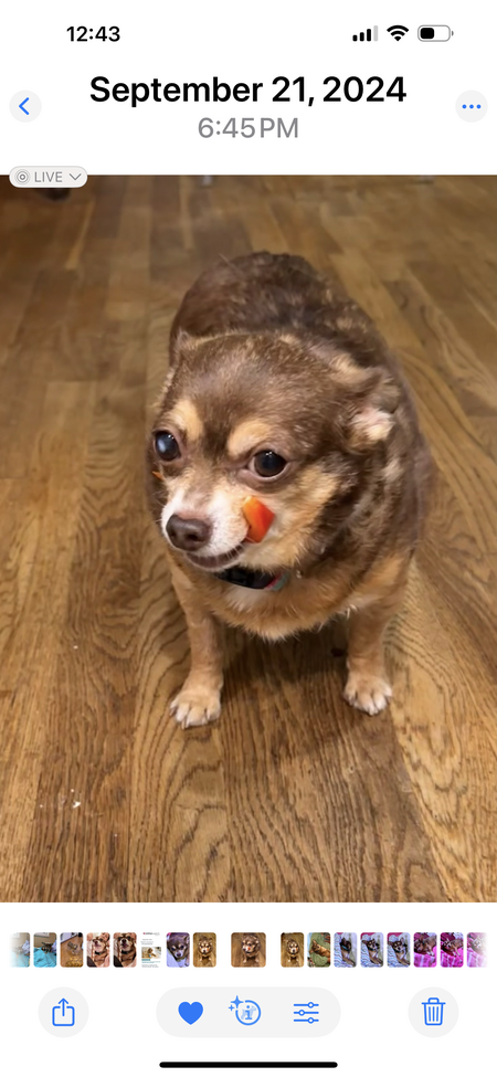 Peanut
