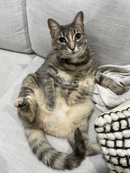 Molly