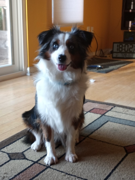 Abby