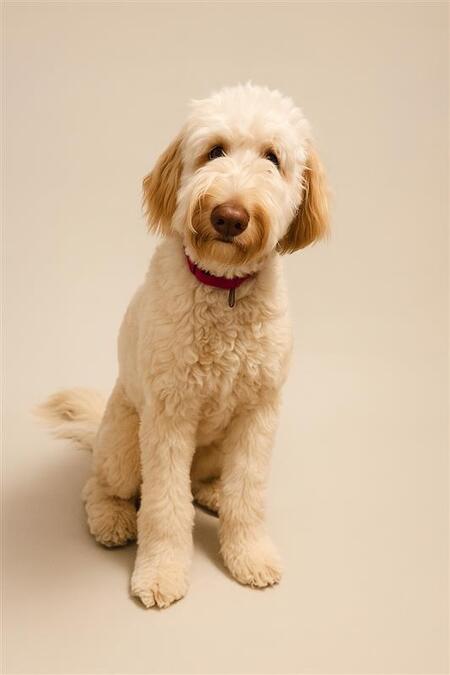 Maggie (Margaret when in trouble)