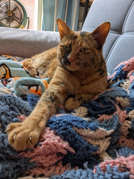 Rosie