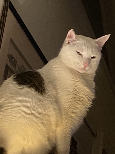 Astro