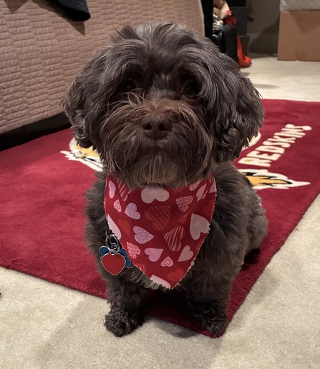 Penelope 