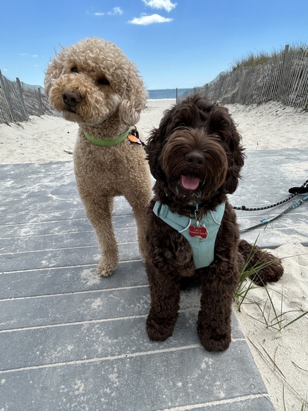 seamus & winnie