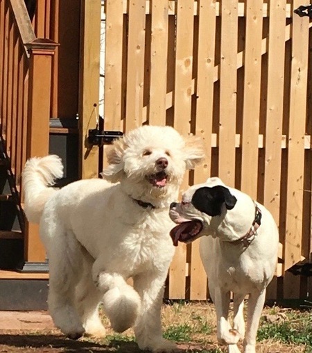 Maggie & Arlo