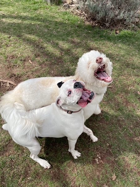 Arlo & Maggie