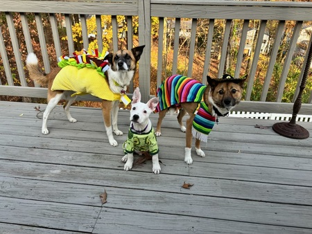 Zora, Kai and Auggie