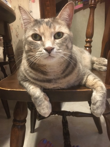 Peppermint