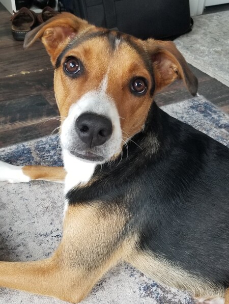 Remi