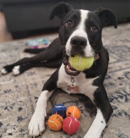 Penny 
