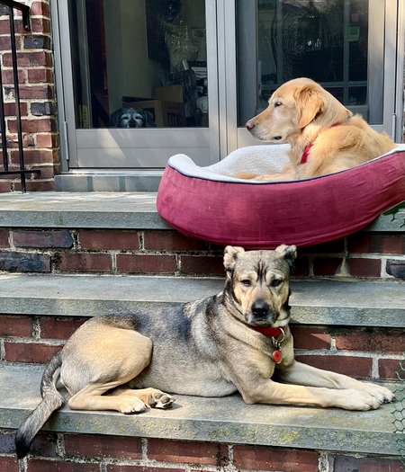 Obi Wan & Finn Best Buds!