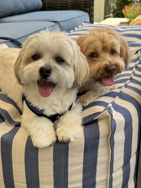 Timmy & Maddie