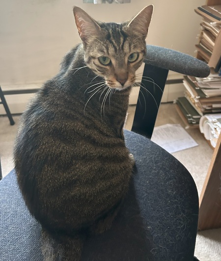 Freya