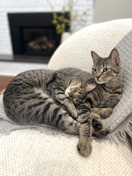 Mika & Maya
