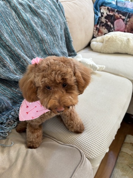 Annie