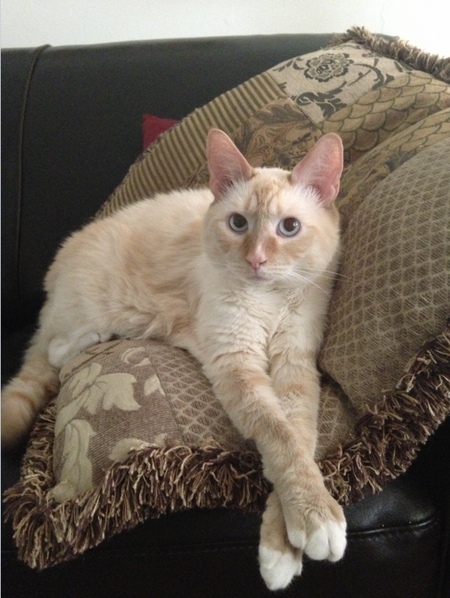 Oliver
