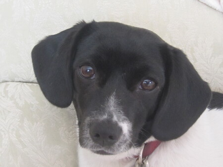 Lucy