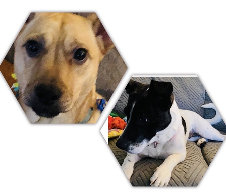 Cooper and Nora