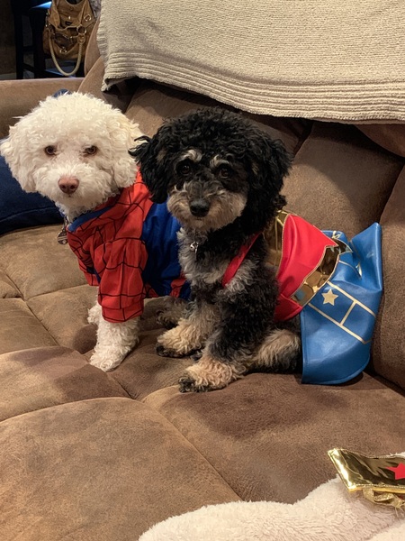 Forrest and Riley