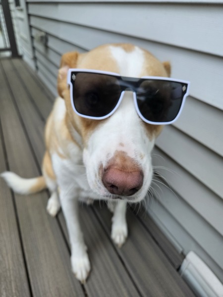 Milo