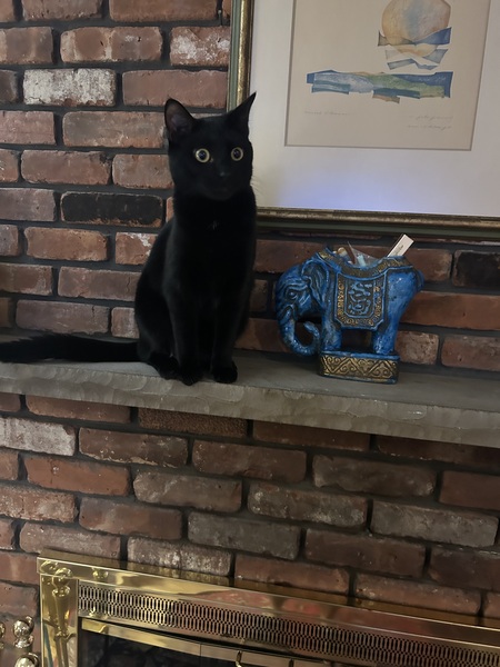 Ebony Ivan
