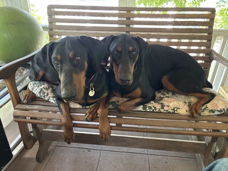 Oonagh & Leia