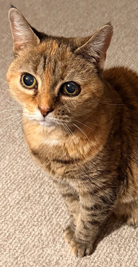 Sweetie