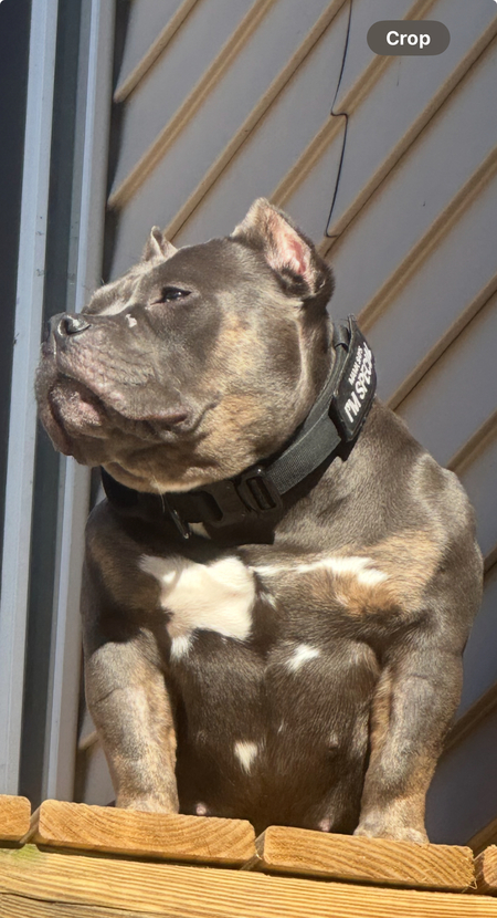 Luna