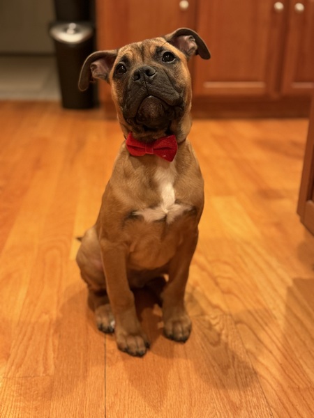 Jaxx