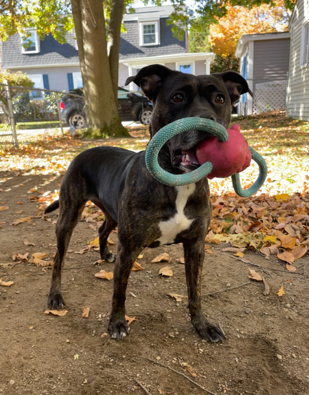 Lucy