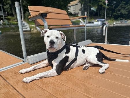 Jax