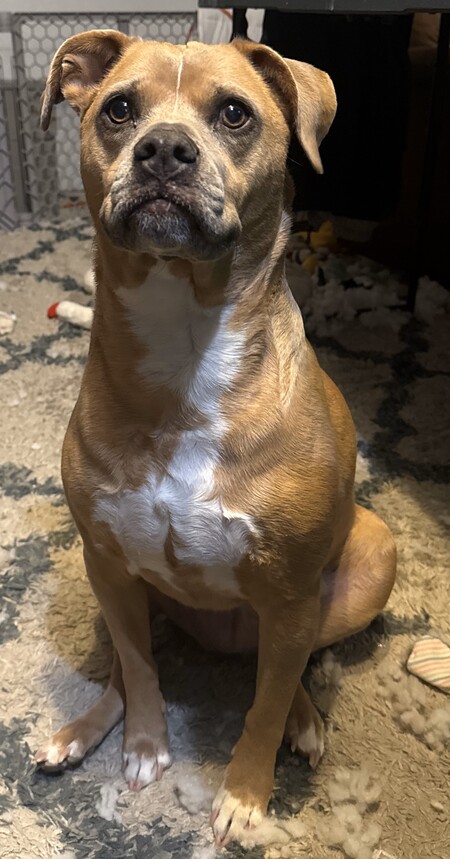 Elsa