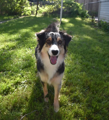Kaya