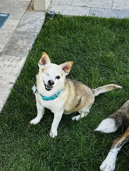 Kato