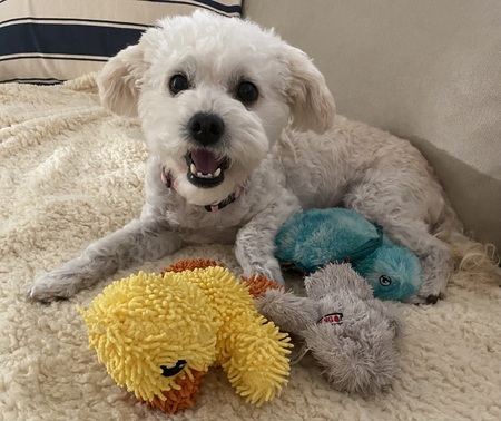 Lulu